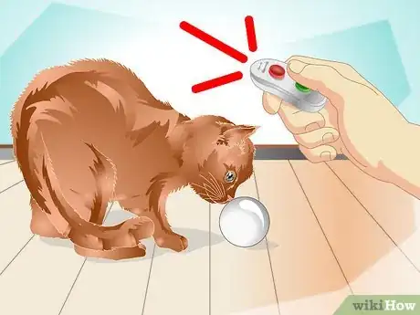 Image titled Teach a Cat to "High Five" Step 5